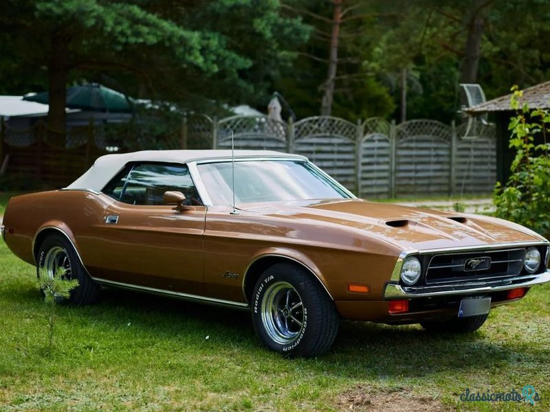 1971' Ford Mustang photo #1