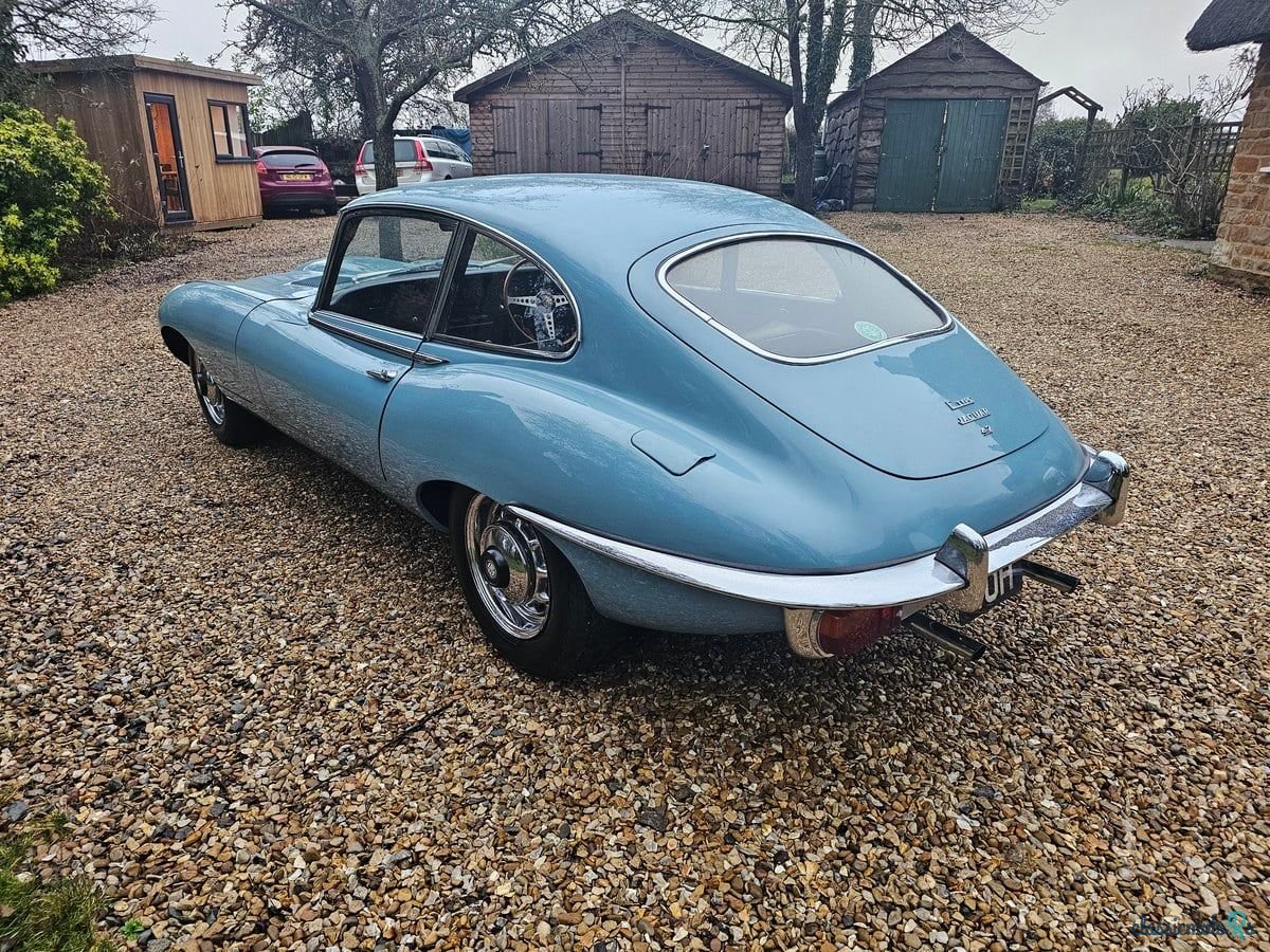 1969' Jaguar E-Type photo #3