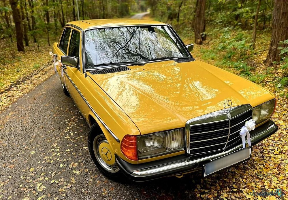 1980' Mercedes-Benz W123 photo #1
