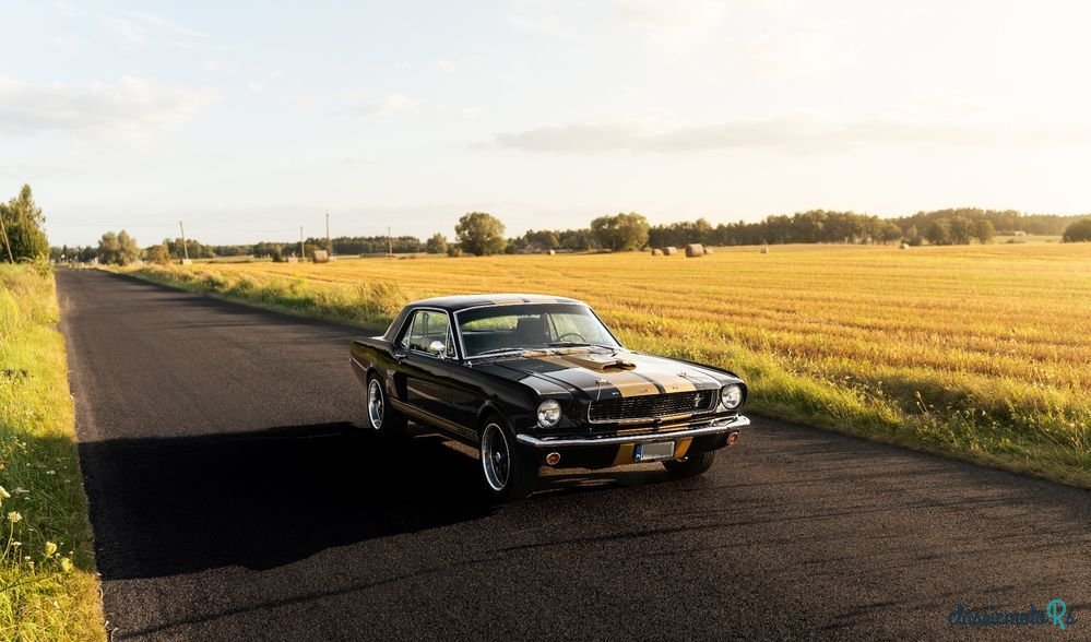 1966' Ford Mustang photo #3