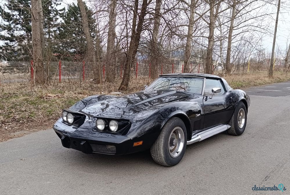 1979' Chevrolet Corvette photo #1