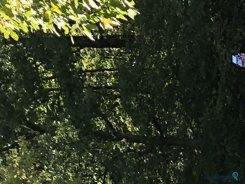 1964' Ford Thunderbird photo #3