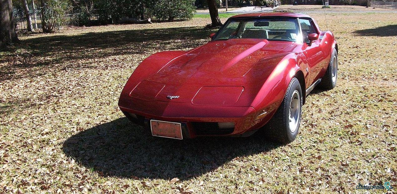 1979' Chevrolet Corvette photo #1