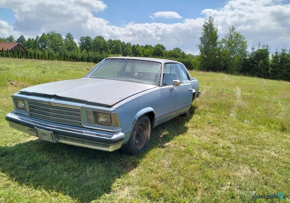 1979' Chevrolet Malibu photo #4