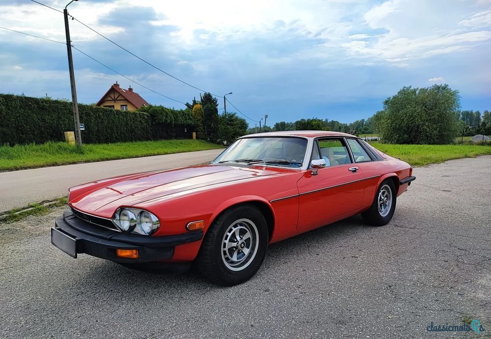 1976' Jaguar XJS photo #2