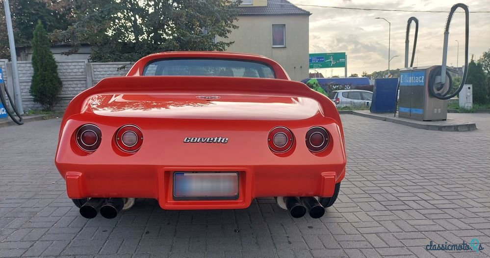 1977' Chevrolet Corvette photo #5