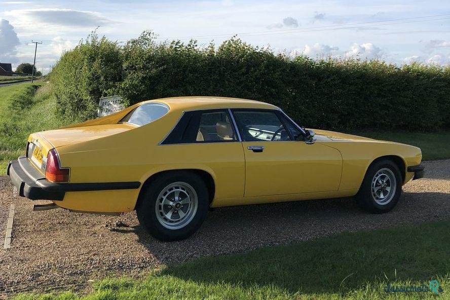 1977' Jaguar XJS photo #2