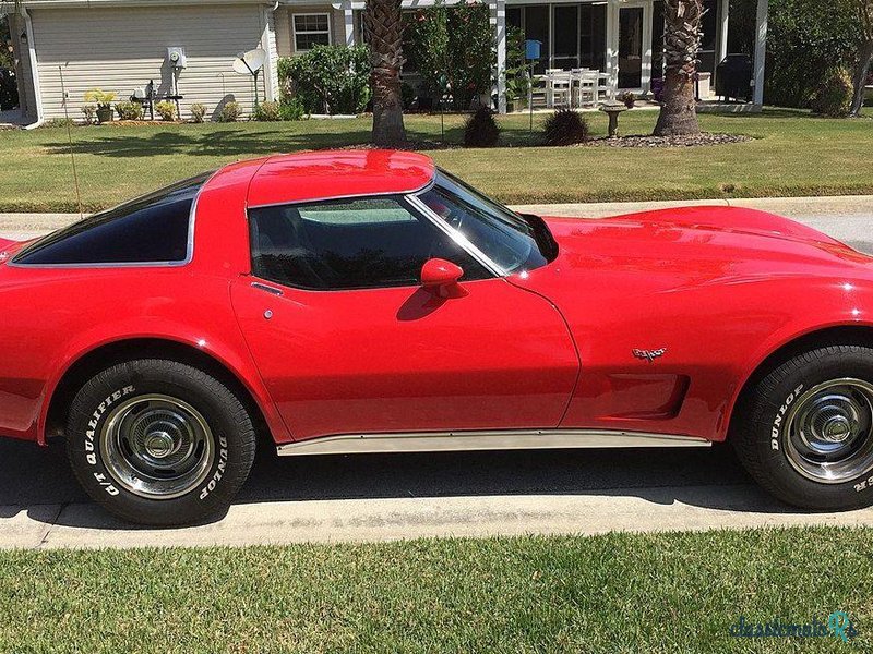 1978' Chevrolet Corvette photo #3