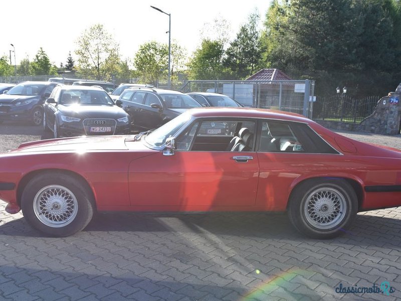 1979' Jaguar XJS photo #6