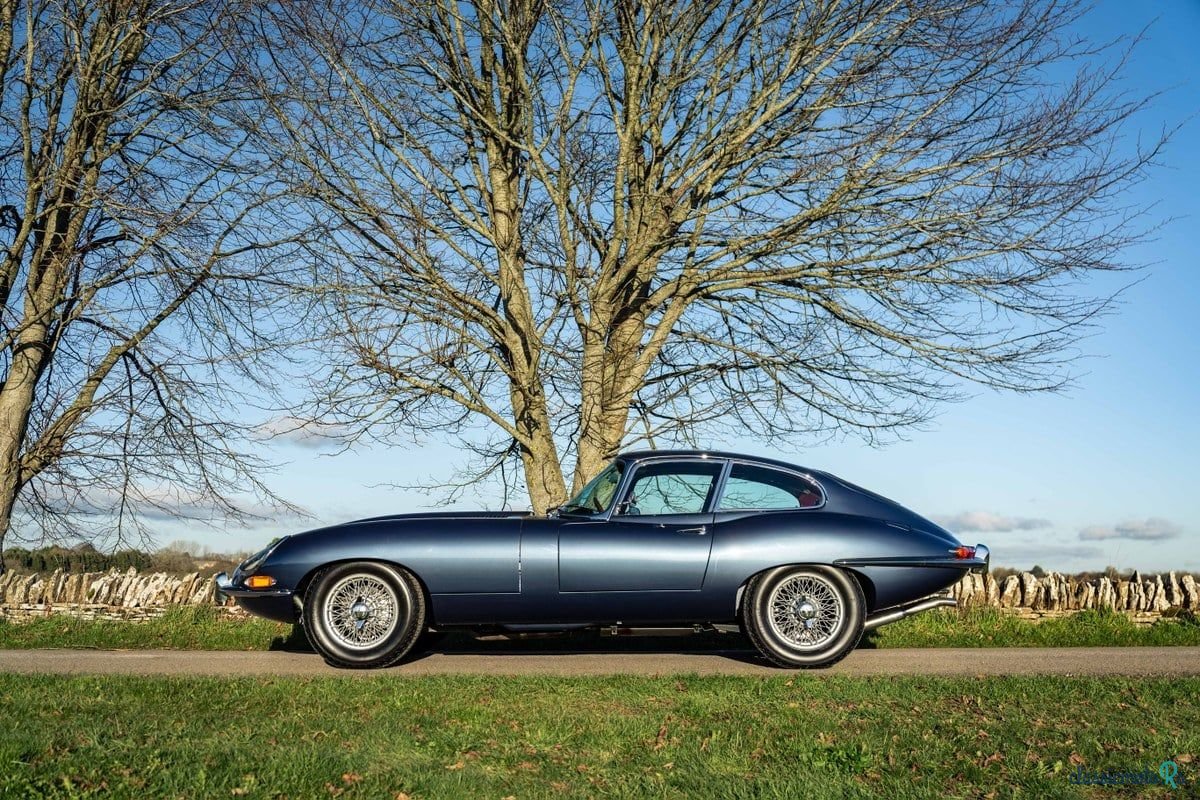 1962' Jaguar E-Type photo #5
