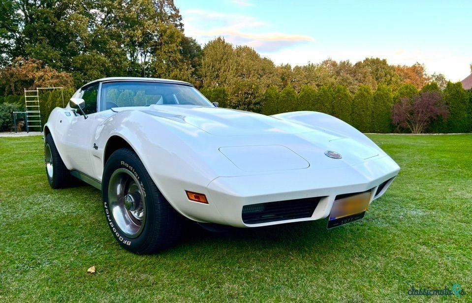1973' Chevrolet Corvette photo #1