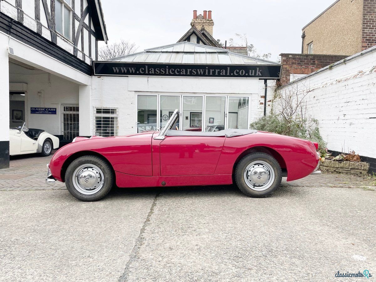 1959' Austin-Healey Sprite photo #4
