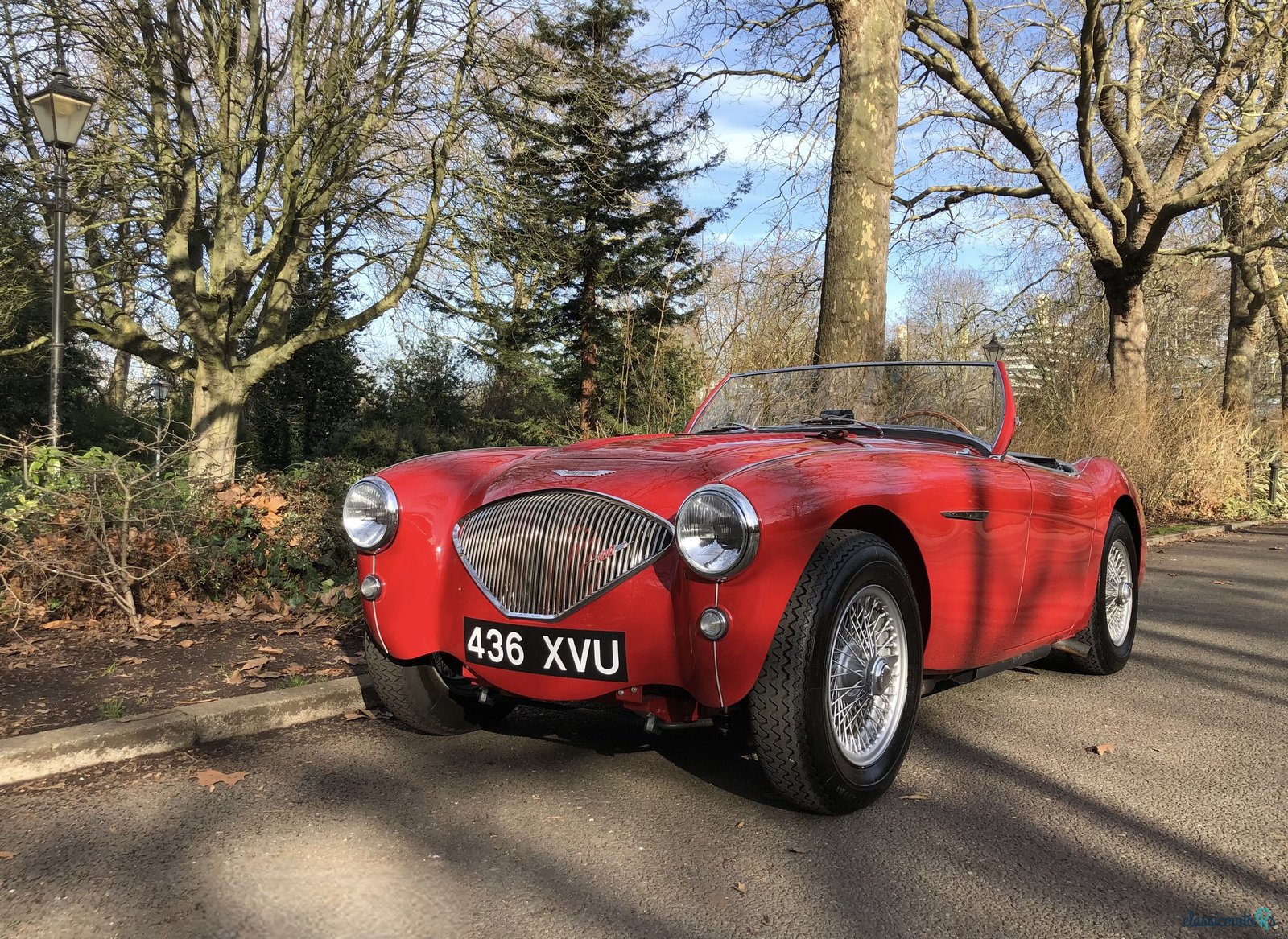 1956' Austin-Healey 100M photo #1