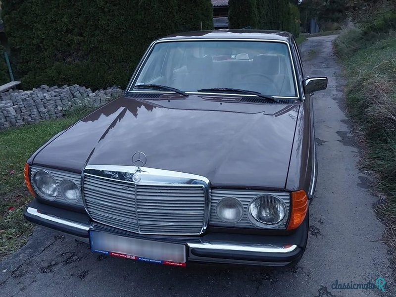 1979' Mercedes-Benz W123 photo #4