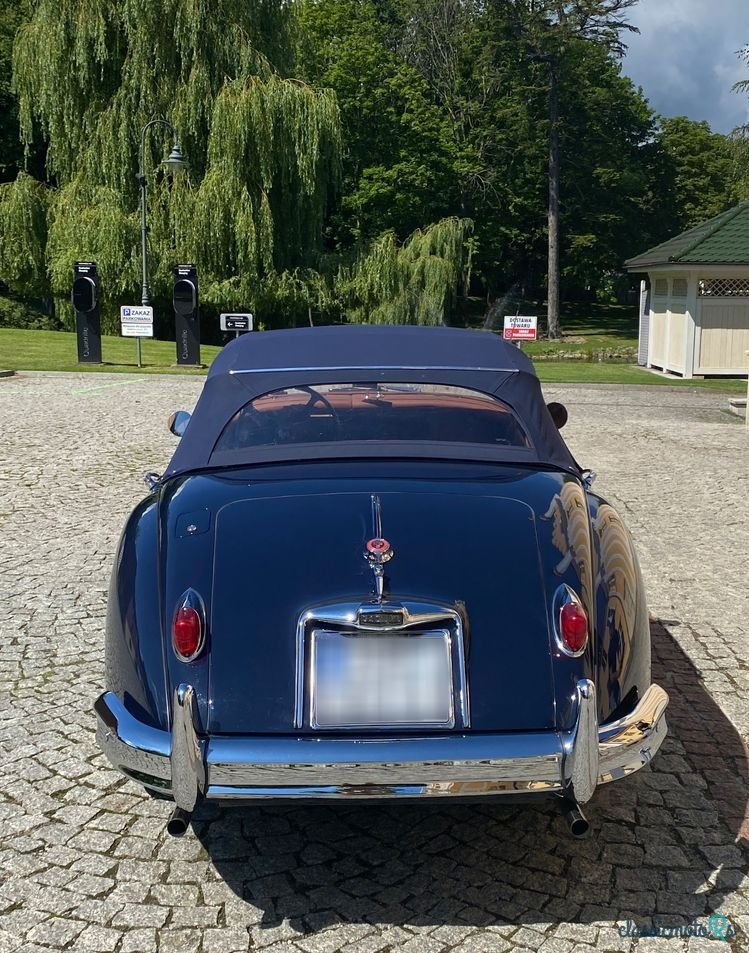 1958' Jaguar XK photo #5