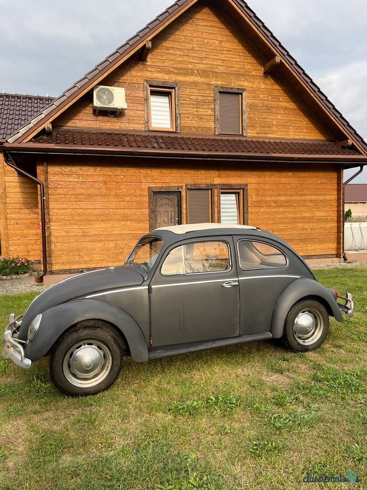 1962' Volkswagen Garbus photo #4