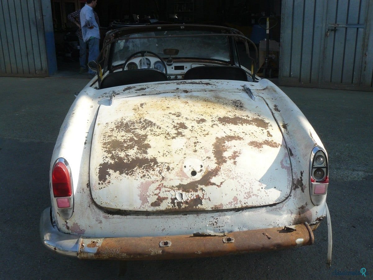 1966' Alfa Romeo Giulia photo #4