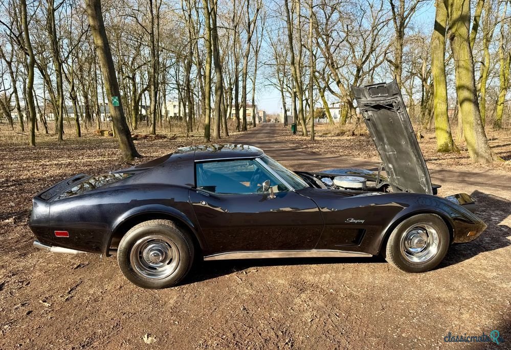 1974' Chevrolet Corvette photo #5