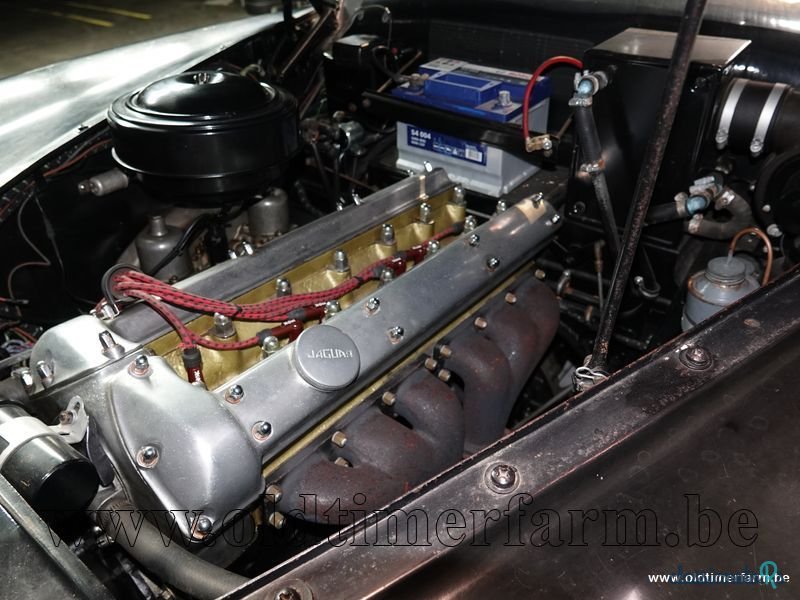 1956' Jaguar Mark VII 3.4 '56 CH94dn photo #7