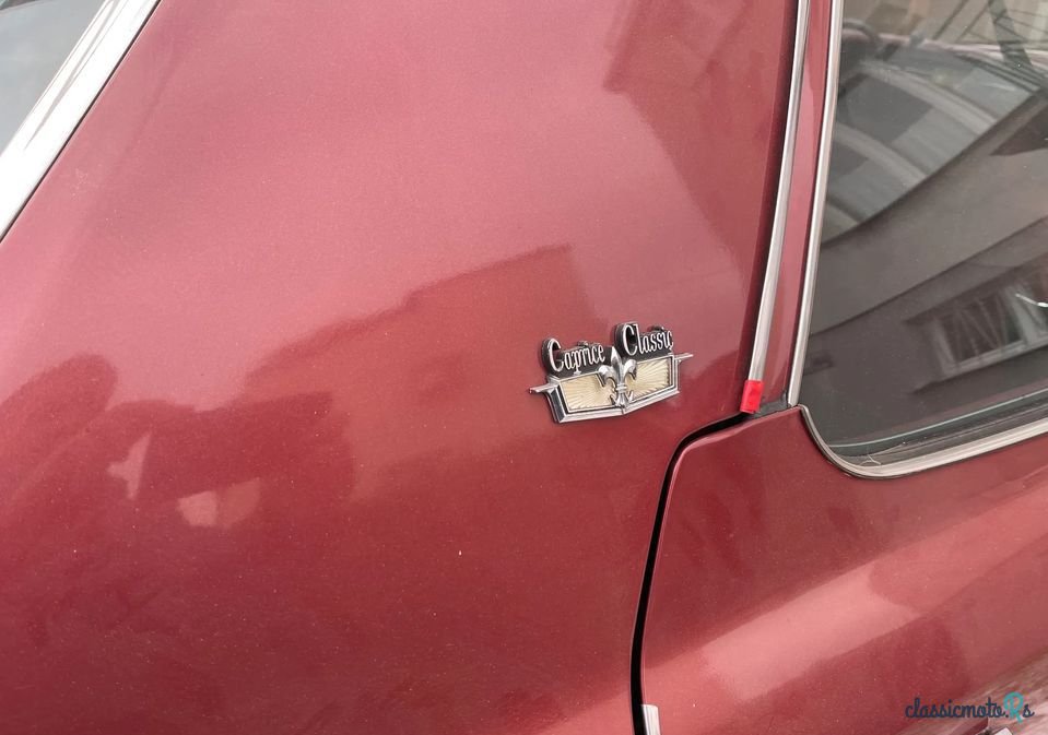 1973' Chevrolet Caprice photo #6