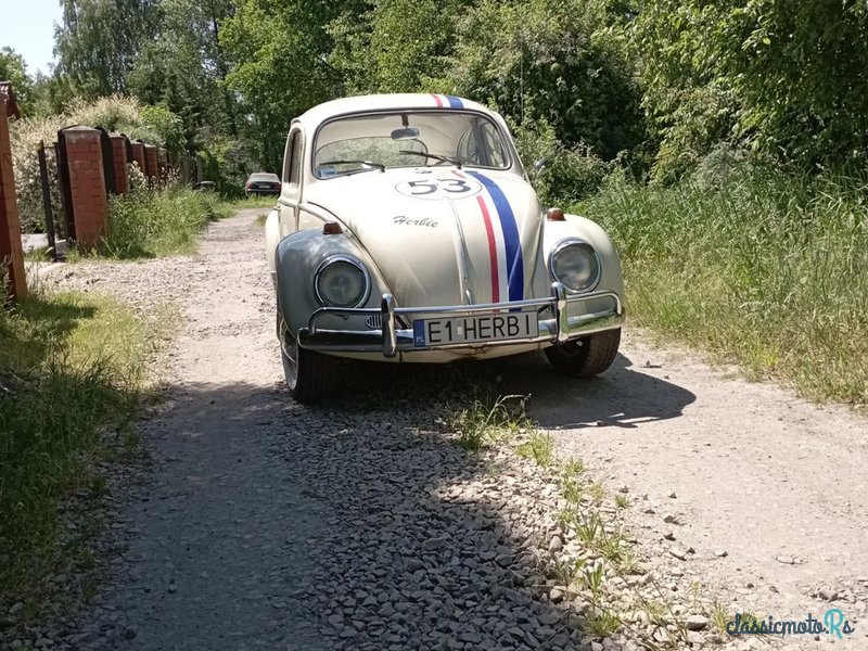 1966' Volkswagen Garbus photo #1