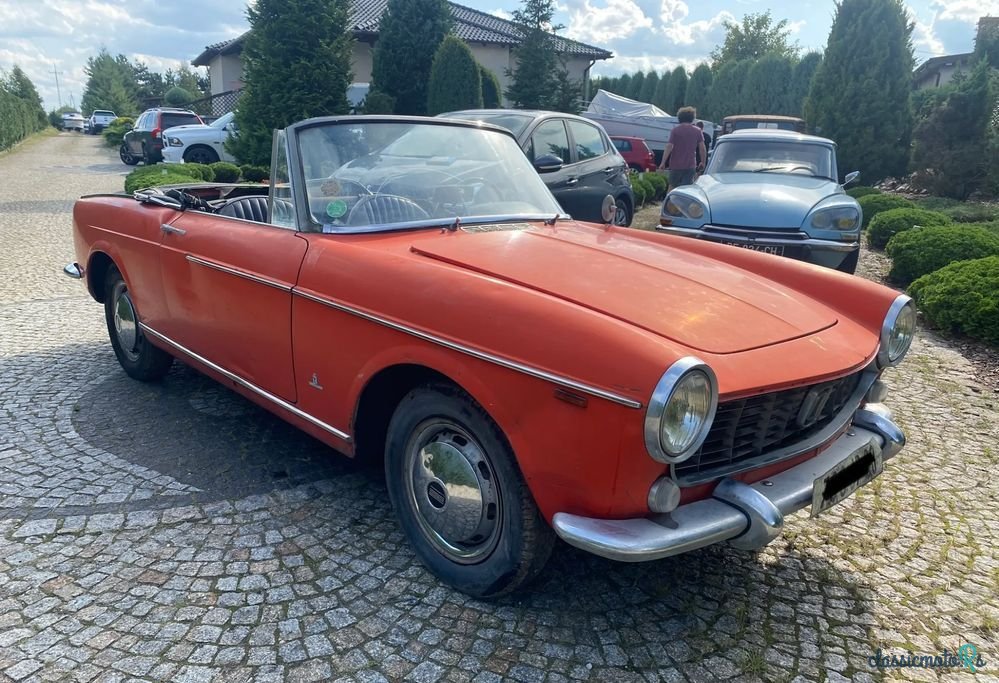 1965' Fiat photo #3