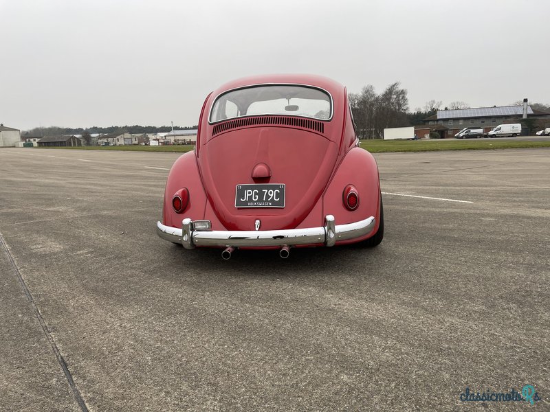 1965' Volkswagen Beetle photo #6