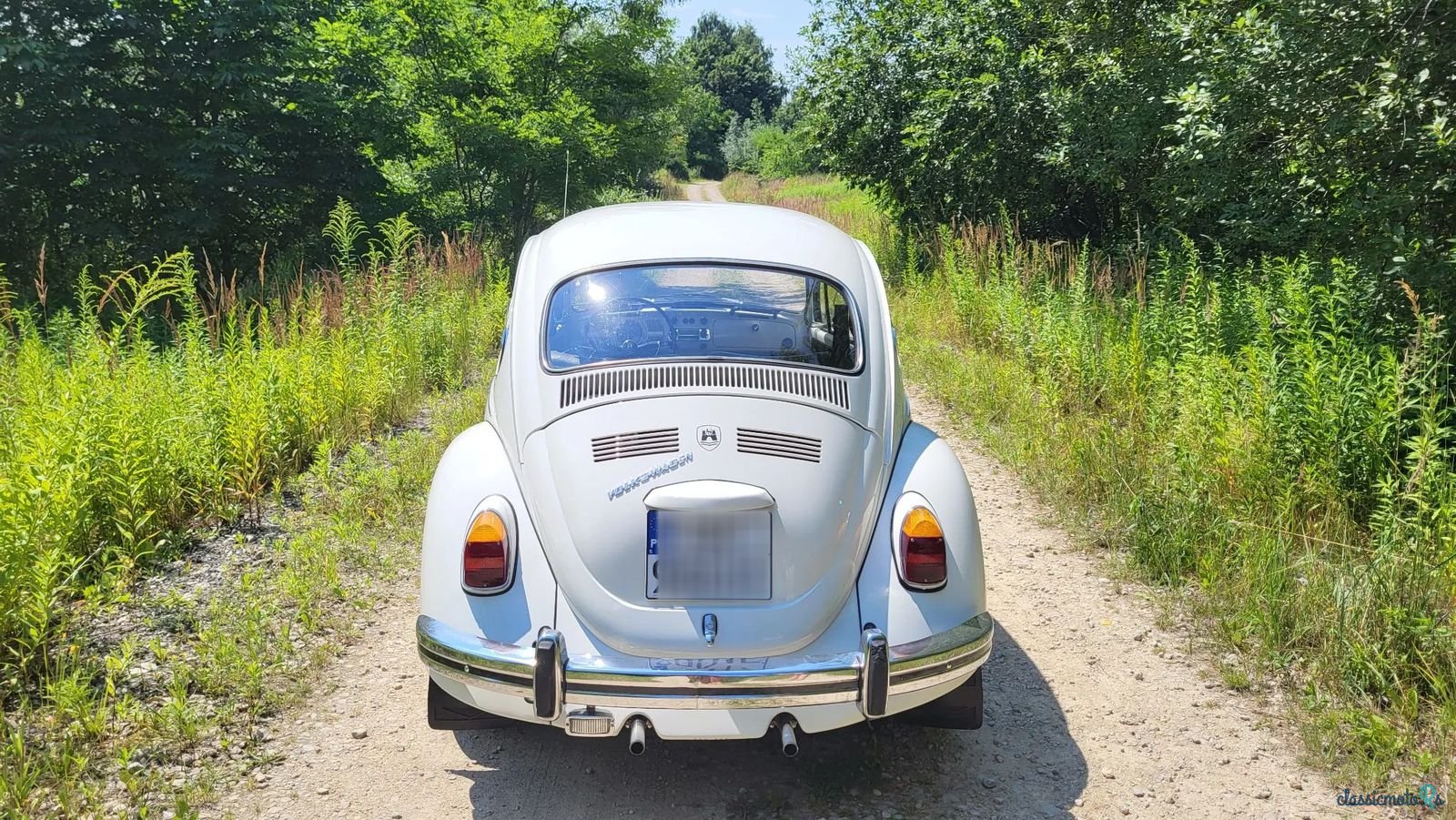 1967' Volkswagen Beetle photo #3