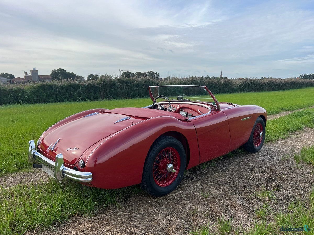 1954' Austin-Healey 100 photo #5