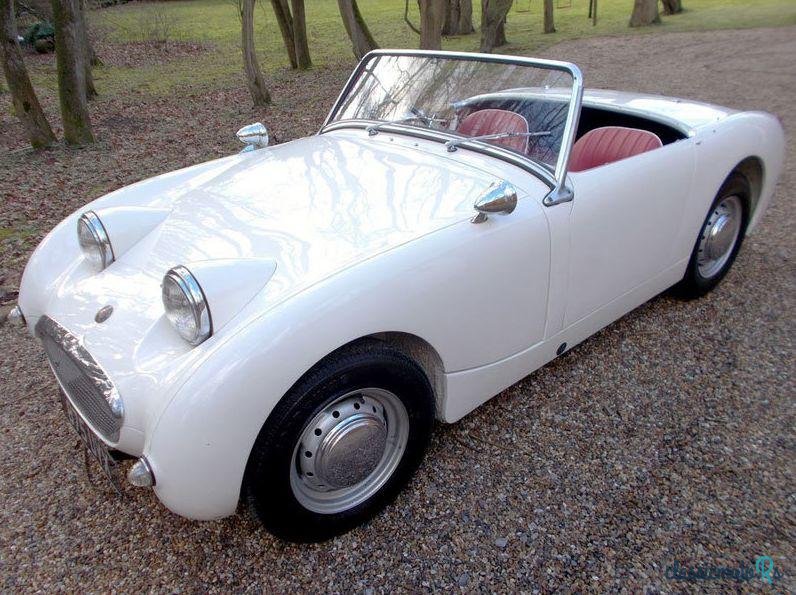 1959' Austin-Healey Sprite photo #1