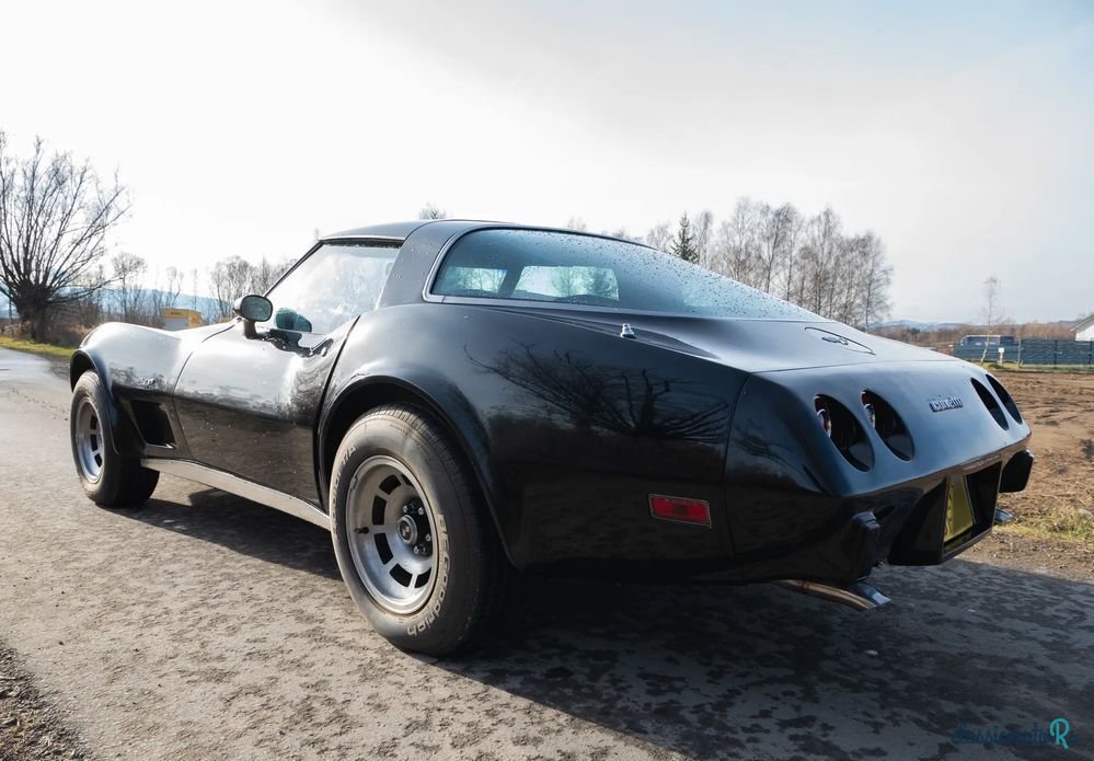 1979' Chevrolet Corvette photo #5