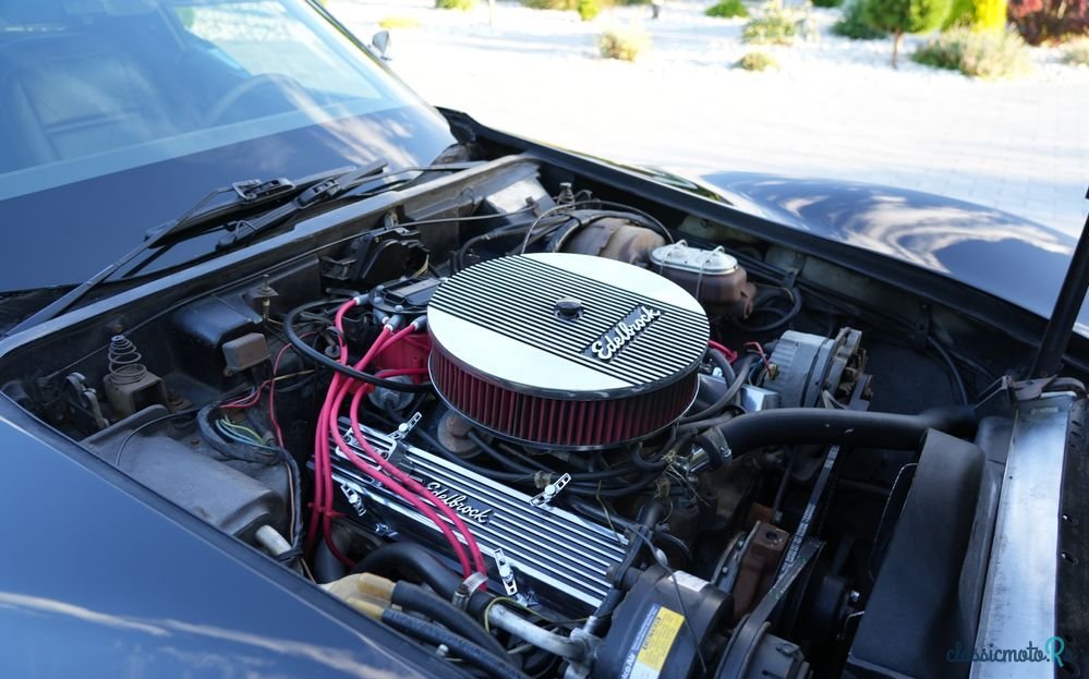 1977' Chevrolet Corvette photo #5