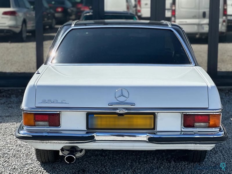1971' Mercedes-Benz W114 photo #5