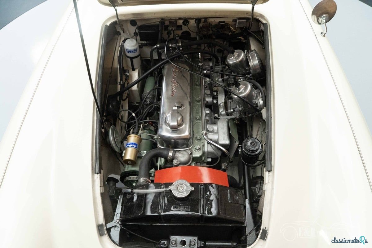1964' Austin-Healey 3000 photo #3