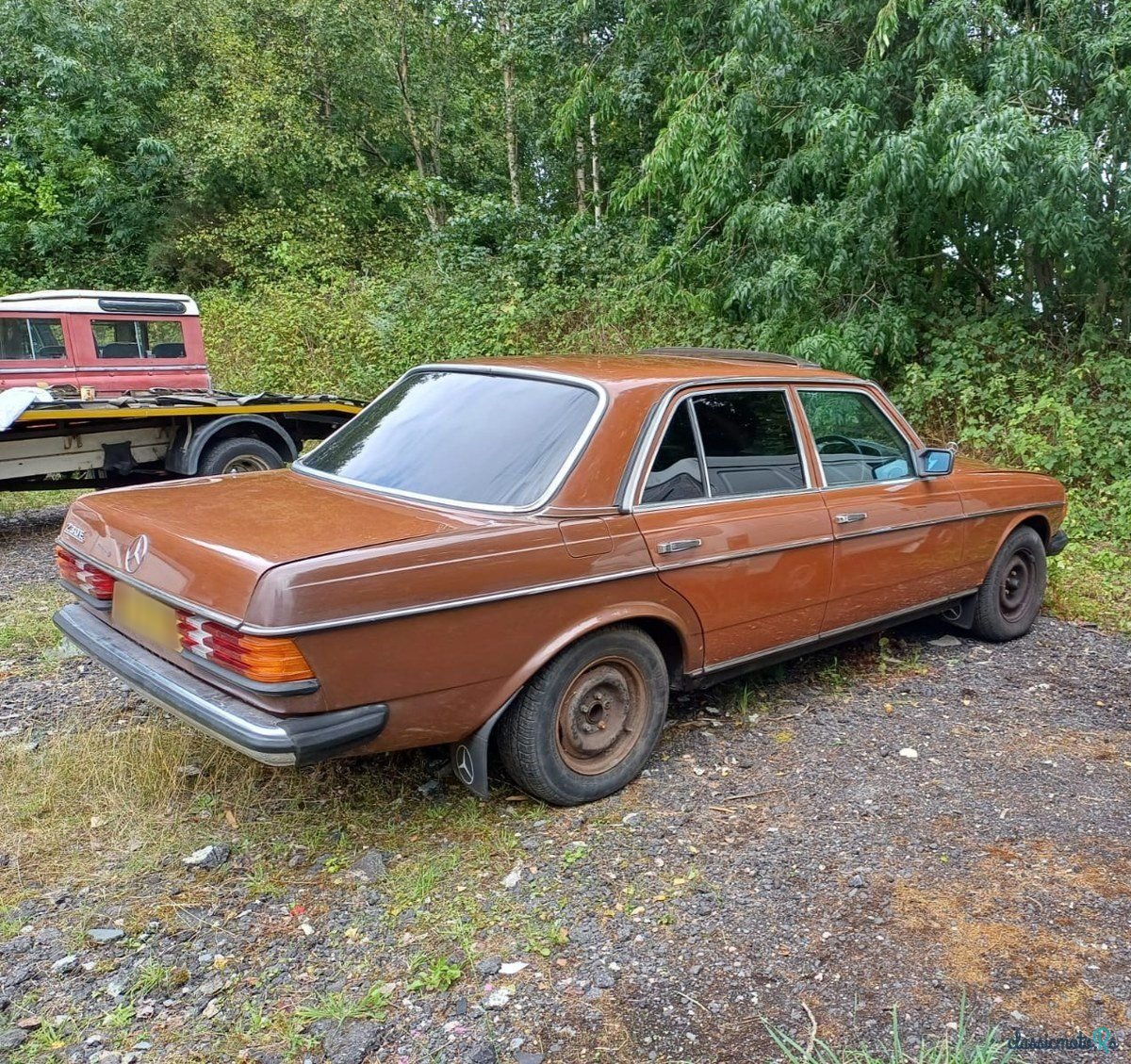 1982' Mercedes-Benz 230 photo #2