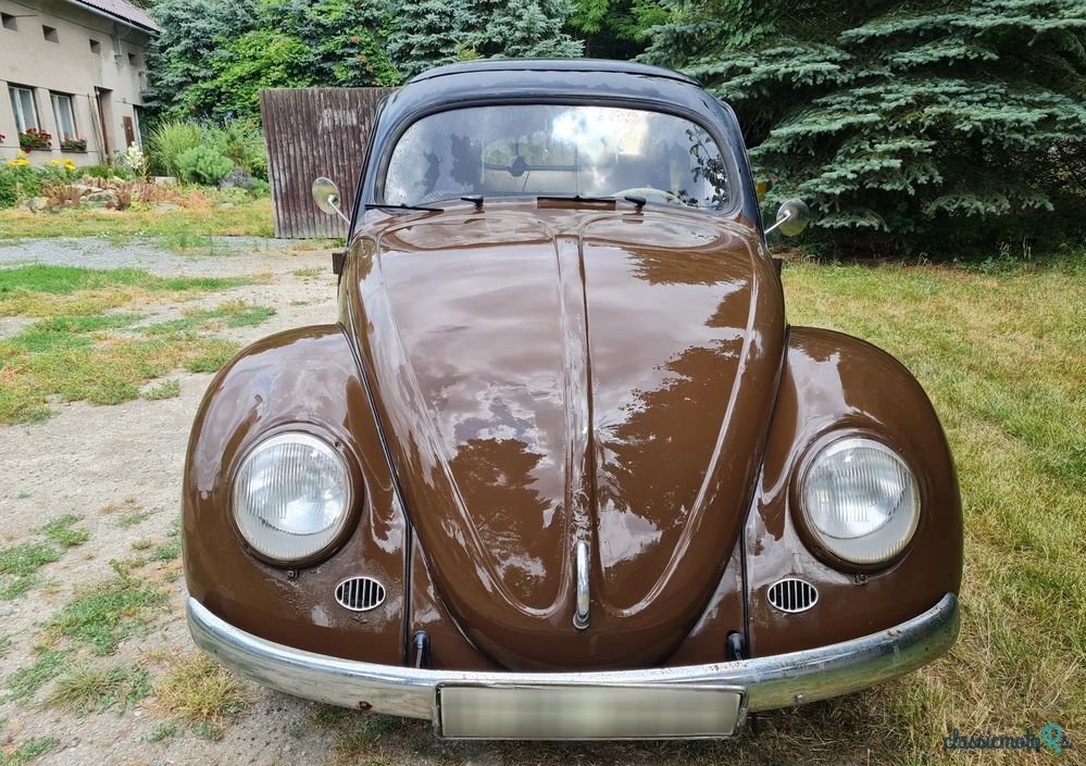 1954' Volkswagen Garbus photo #3