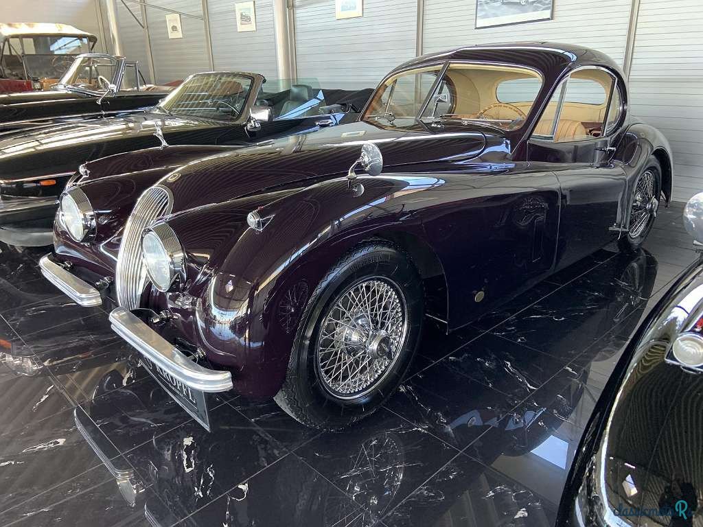 1952' Jaguar XK photo #3