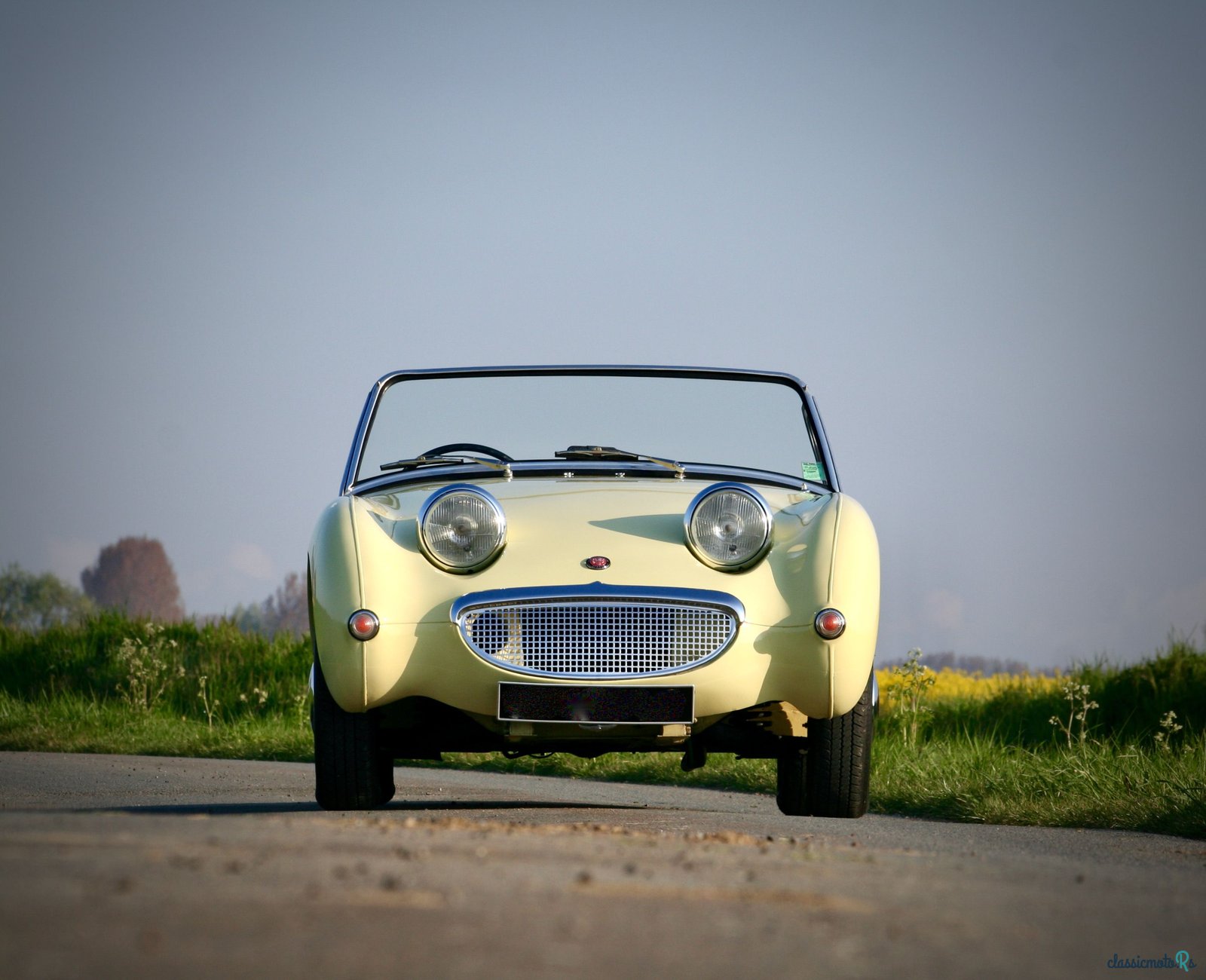 1960' Austin-Healey Frogeye photo #3