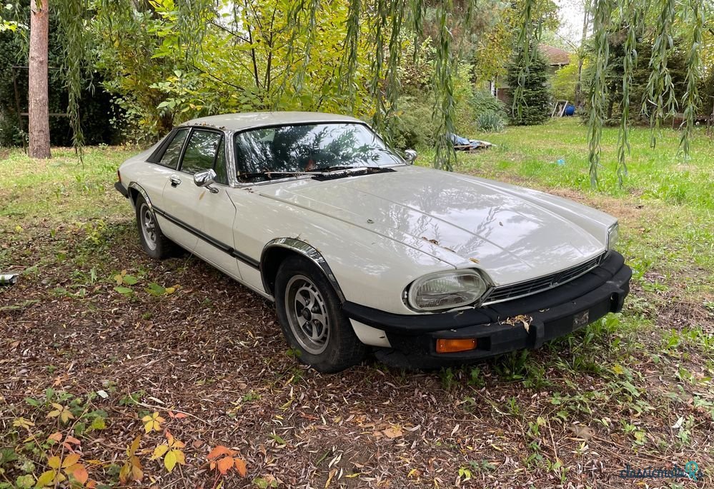 1976' Jaguar XJS photo #1