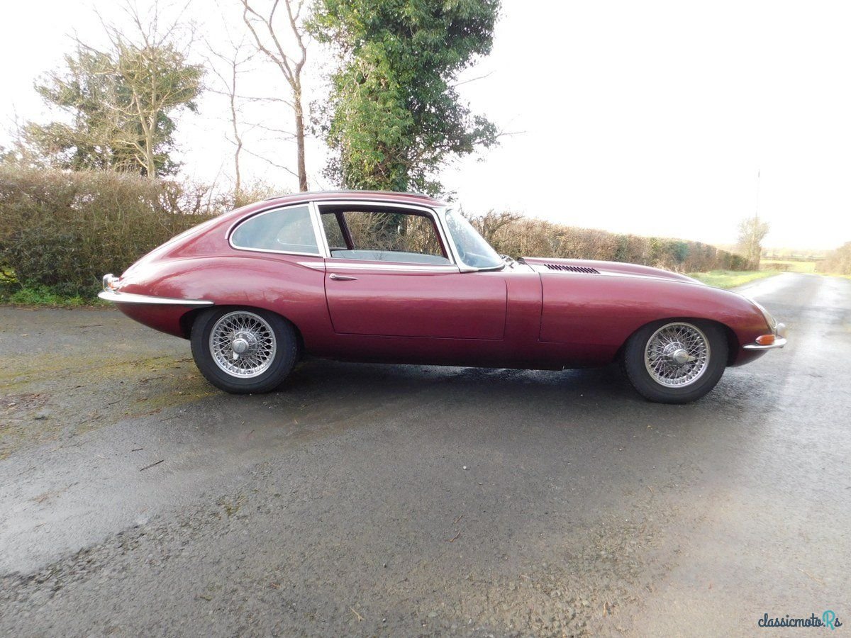 1966' Jaguar E-Type photo #1