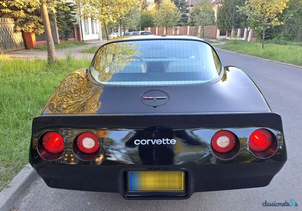 1979' Chevrolet Corvette photo #6