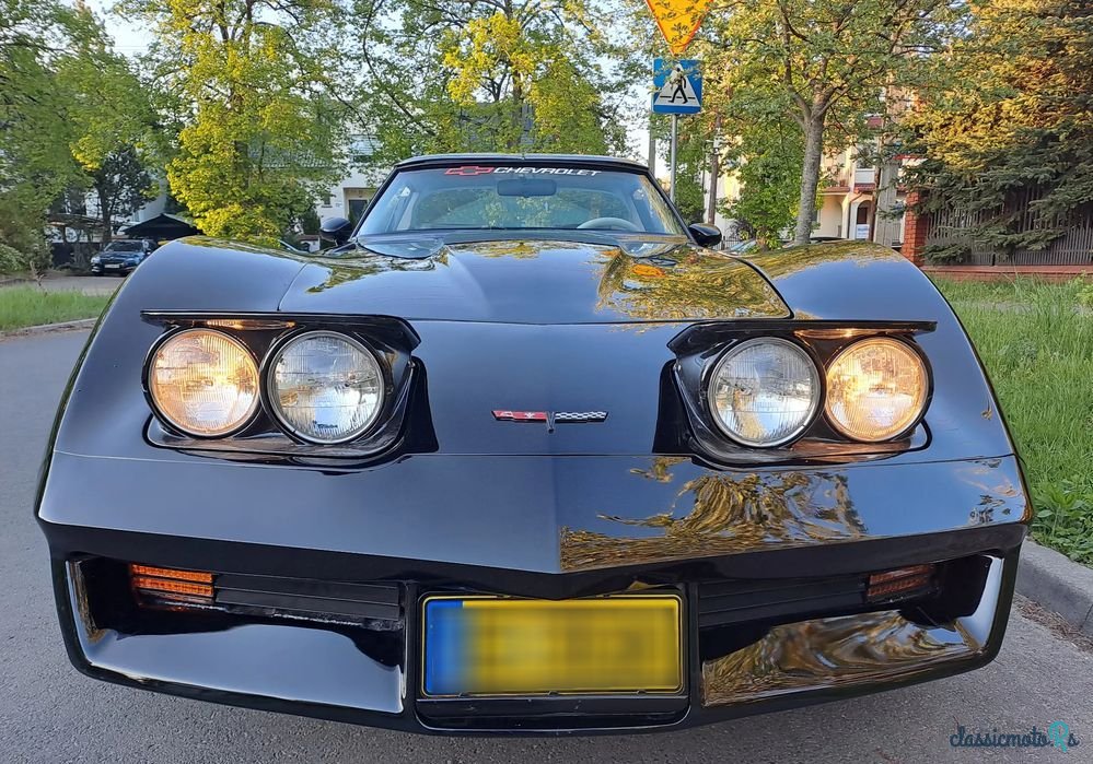 1979' Chevrolet Corvette photo #1