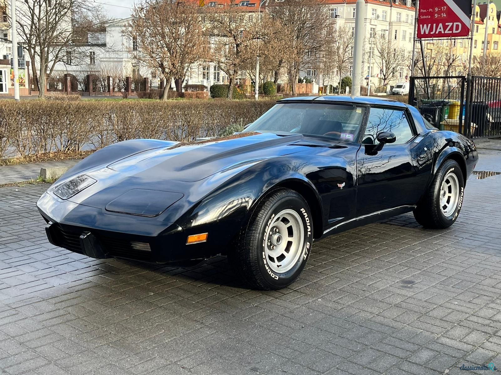1979' Chevrolet Corvette photo #1