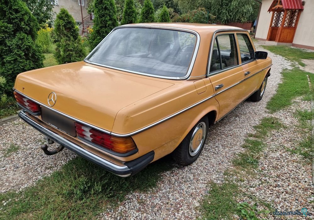 1977' Mercedes-Benz W123 photo #3