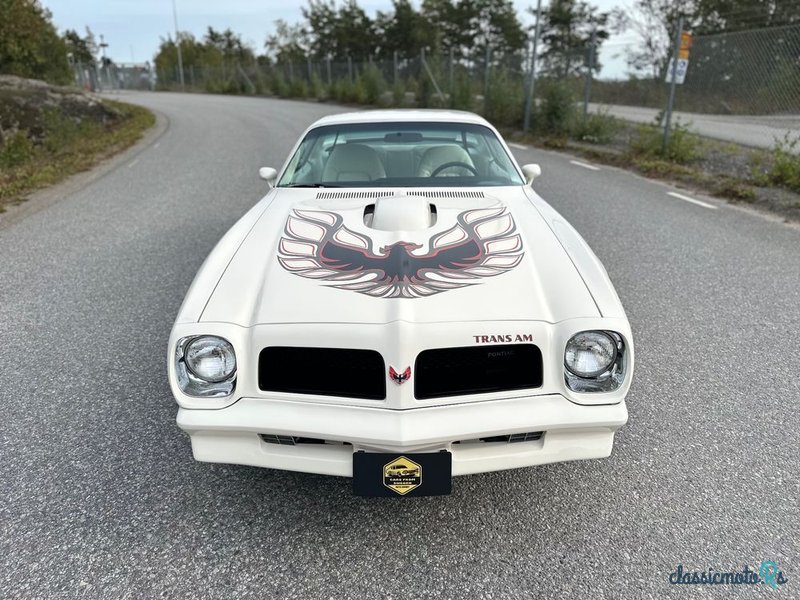 1976' Pontiac Firebird photo #2