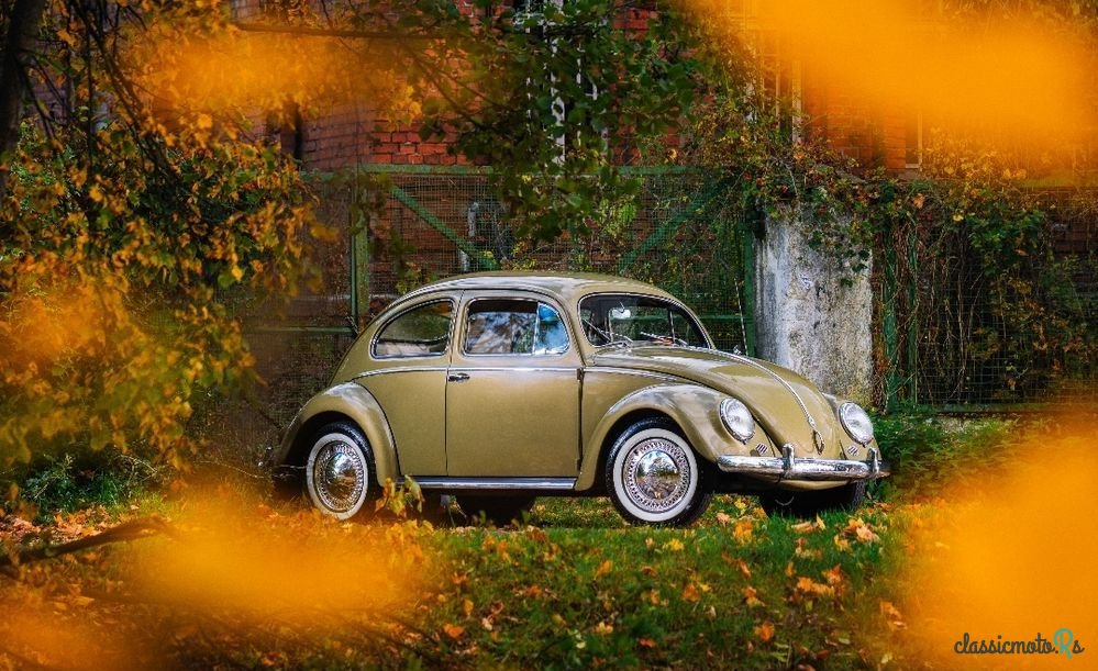 1956' Volkswagen Garbus photo #2