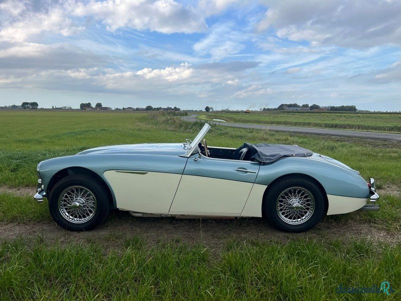 1959' Austin-Healey 100-6 photo #2