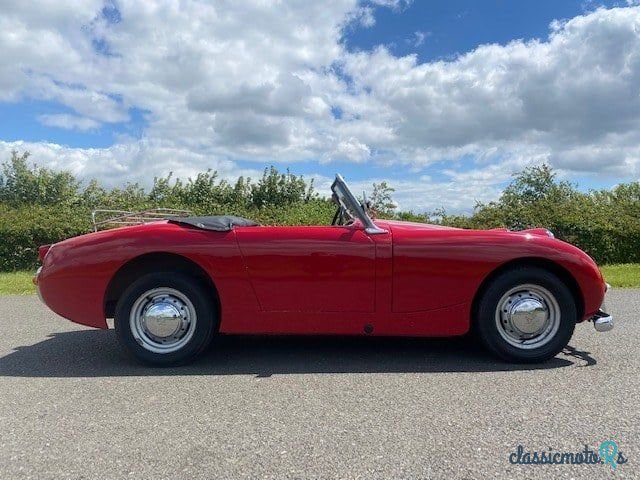 1959' Austin-Healey Sprite photo #5