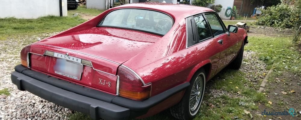 1977' Jaguar XJS photo #4