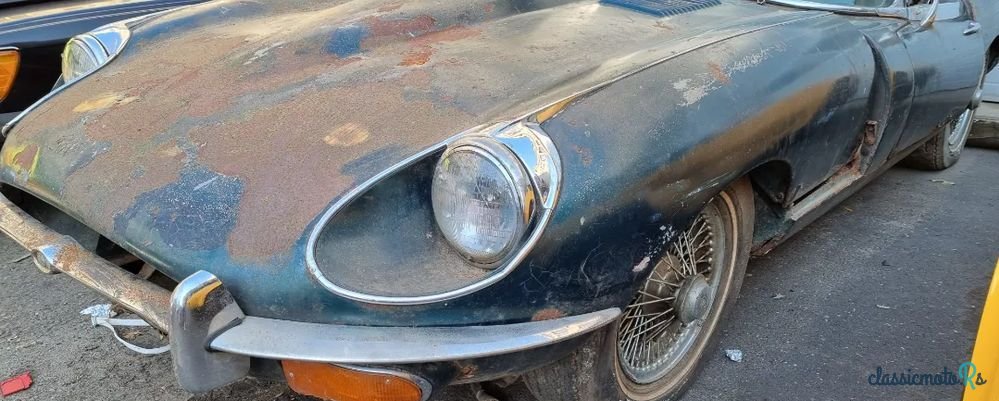 1969' Jaguar E-Type photo #3
